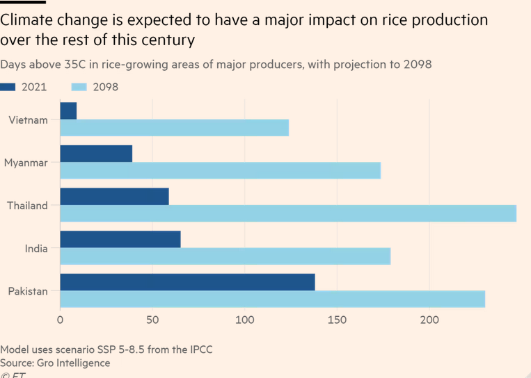 /brief/img/Screenshot 2023-10-23 at 08-23-42 The return of the rice crisis.png